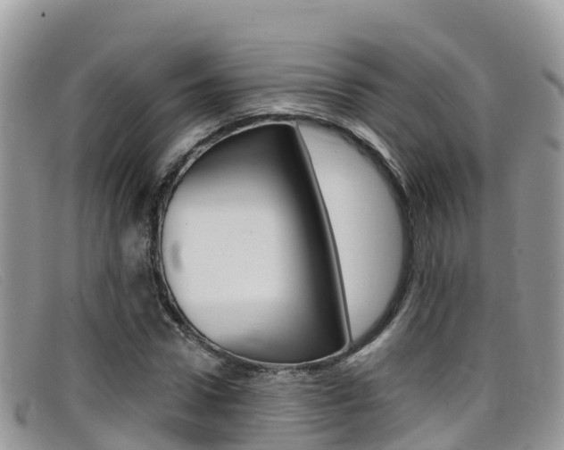 X0000099440922200805090744