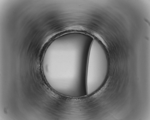 X0000099440923200805090744