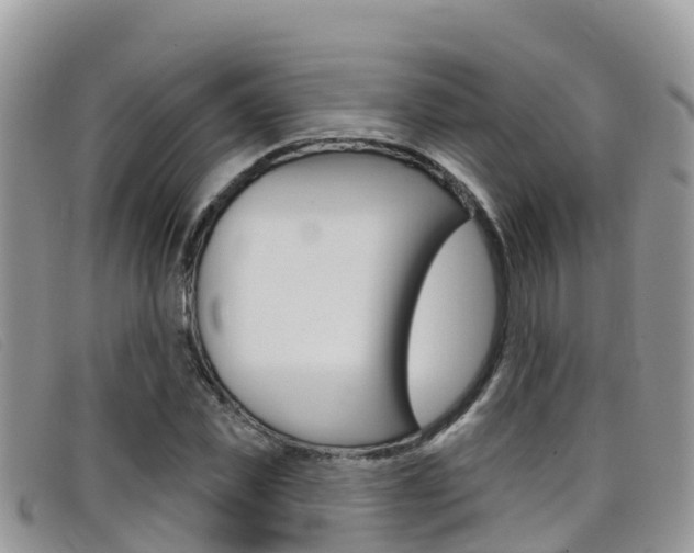 X0000099440925200805090744