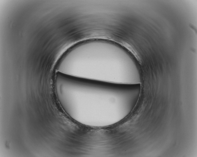 X0000099440926200805090745