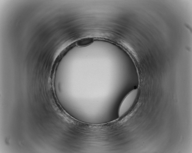 X0000099440928200805090745