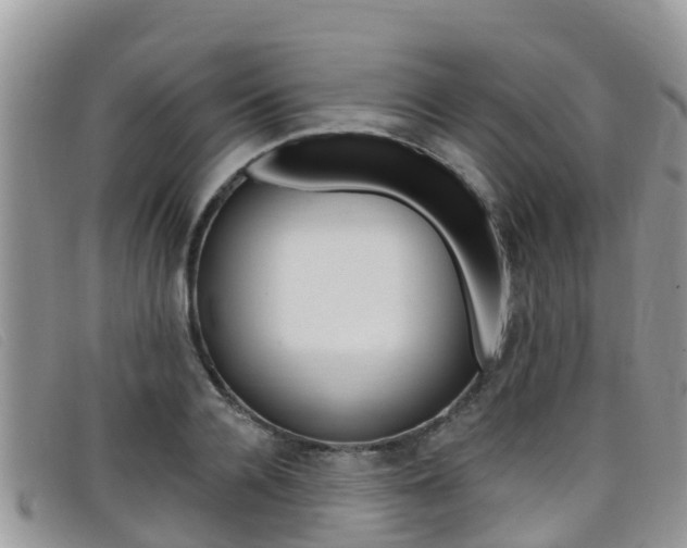 X0000099440936200805090745
