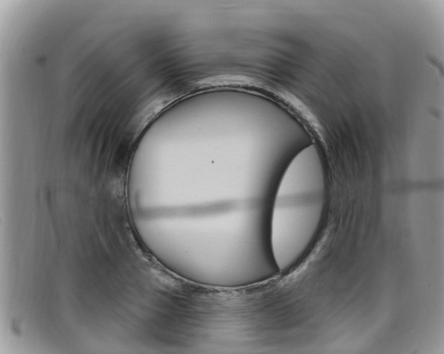 X0000099440937200805090745