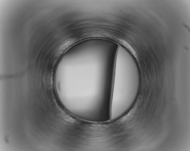X0000099440938200805090745