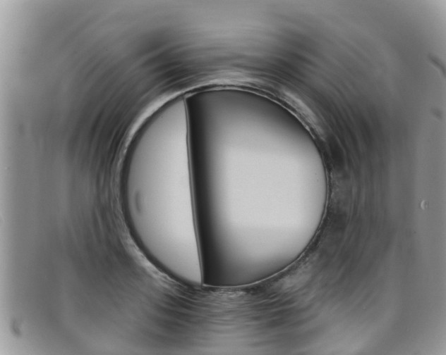 X0000099440939200805090745