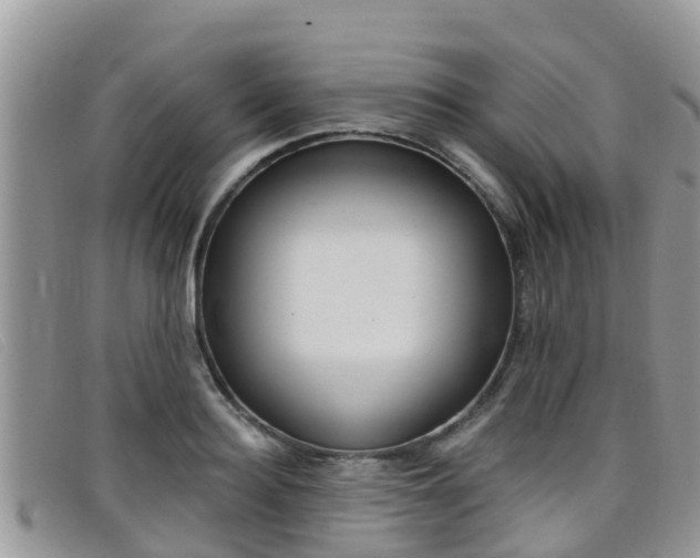 X0000099440940200805090745