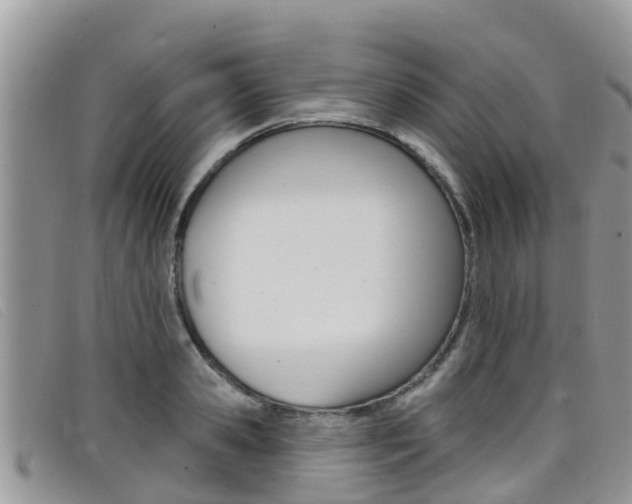 X0000099440941200805090745