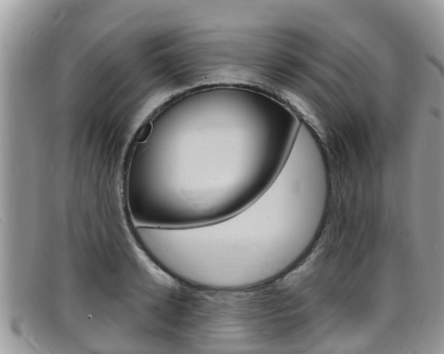 X0000099440942200805090745