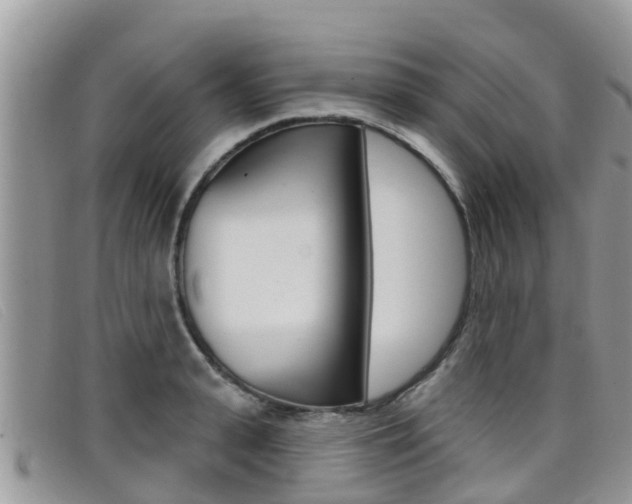 X0000099440943200805090745
