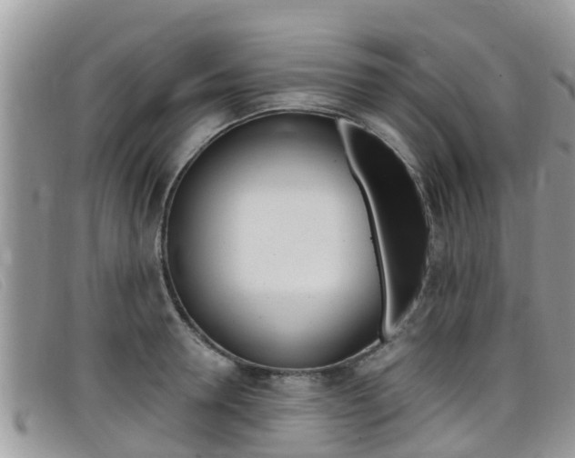 X0000099440946200805090745
