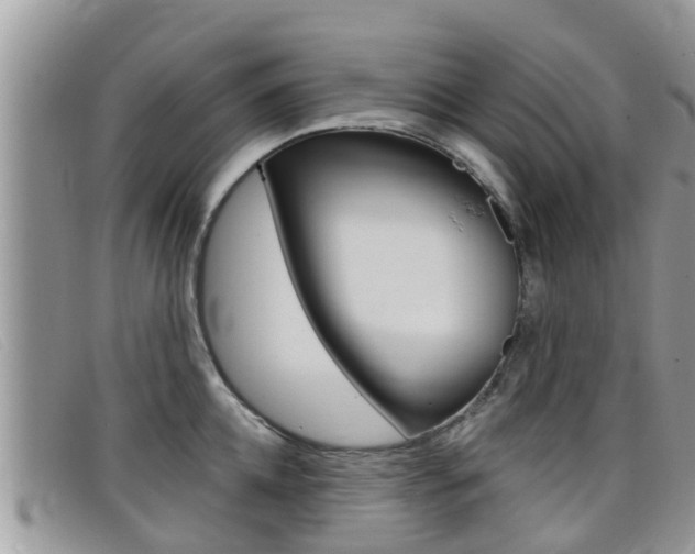 X0000099440952200805090745