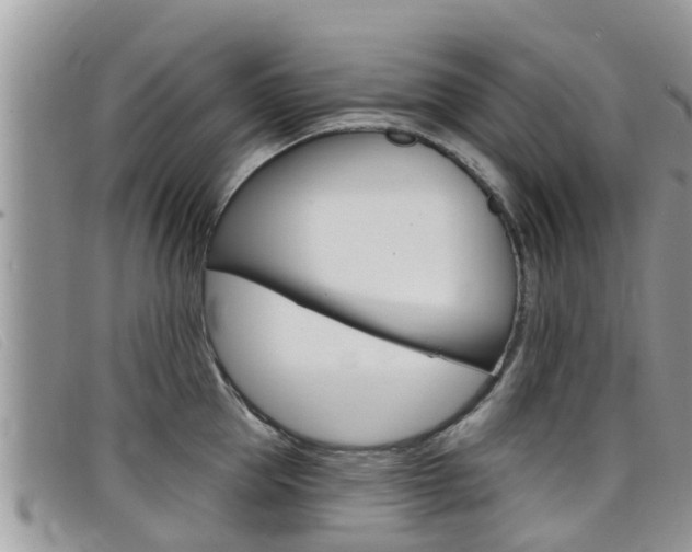 X0000099440953200805090745