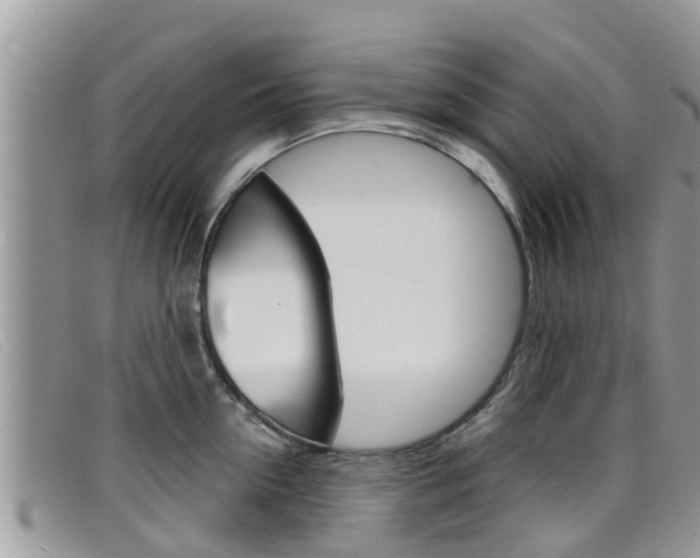 X0000099440954200805090745