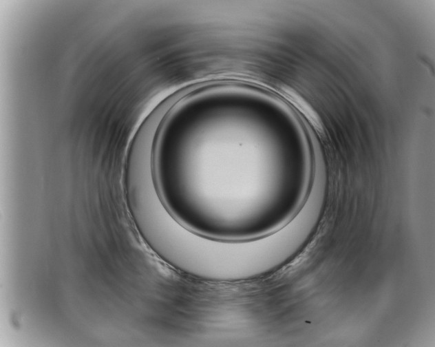 X0000099440956200805090745