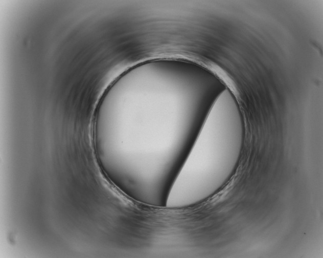 X0000099440958200805090745