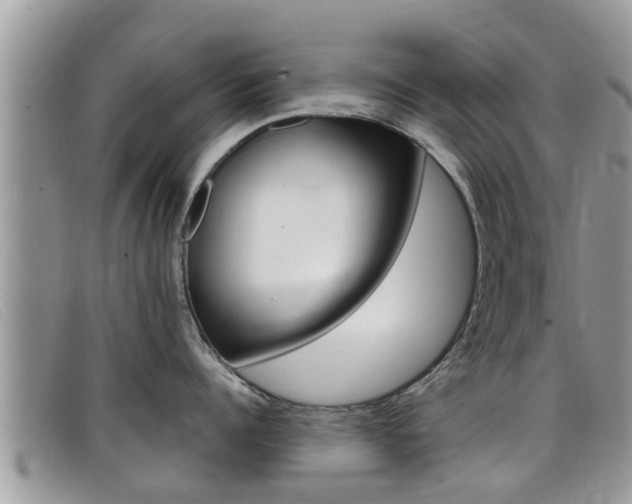 X0000099440960200805090745
