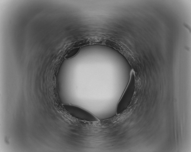 X0000099440961200805090744