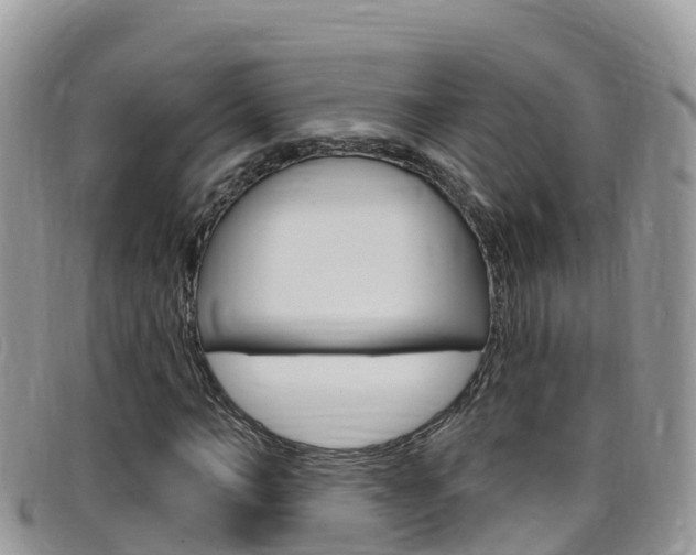 X0000099440966200805090744