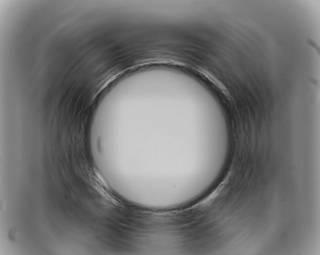 X0000099440969200805090744