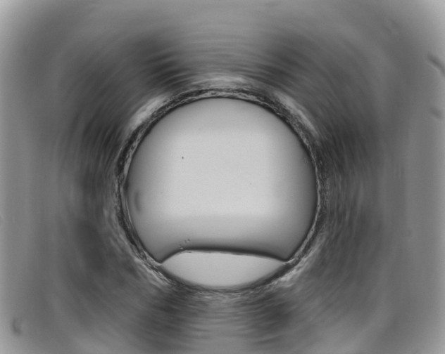 X0000099440970200805090744