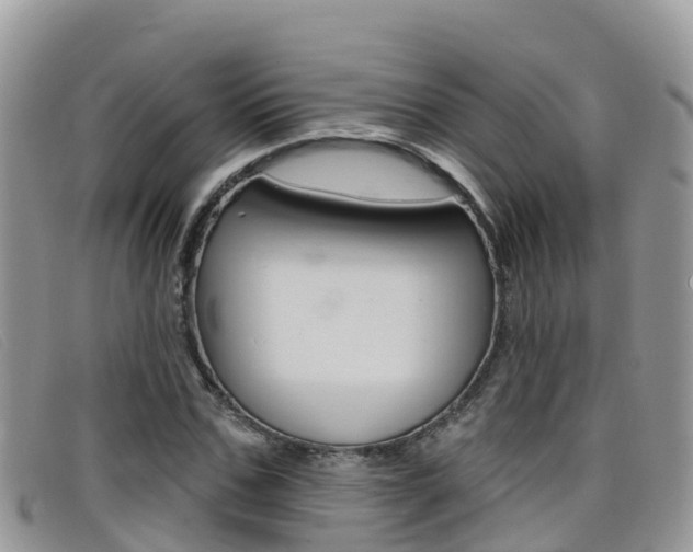 X0000099440971200805090744