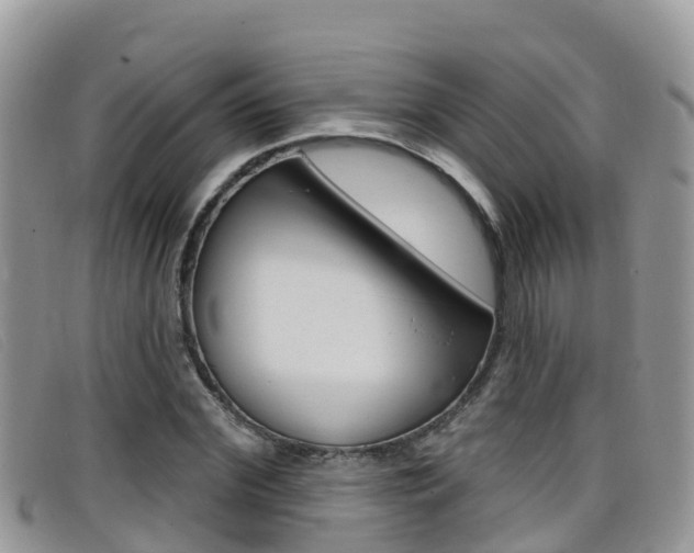 X0000099440972200805090744