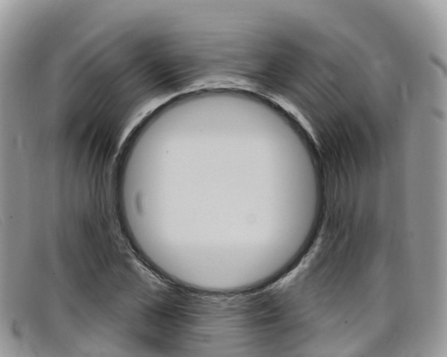 X0000099440973200805090744