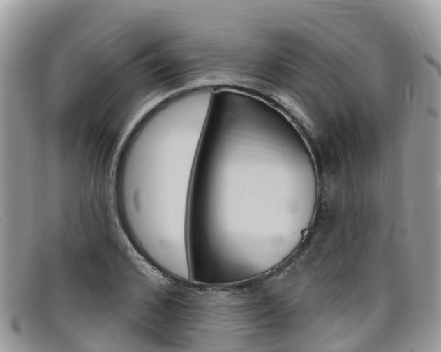 X0000099440976200805090744
