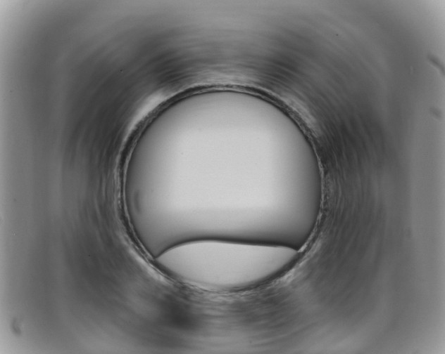 X0000099440982200805090744