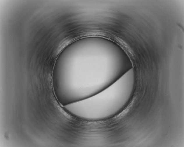 X0000099440985200805090744