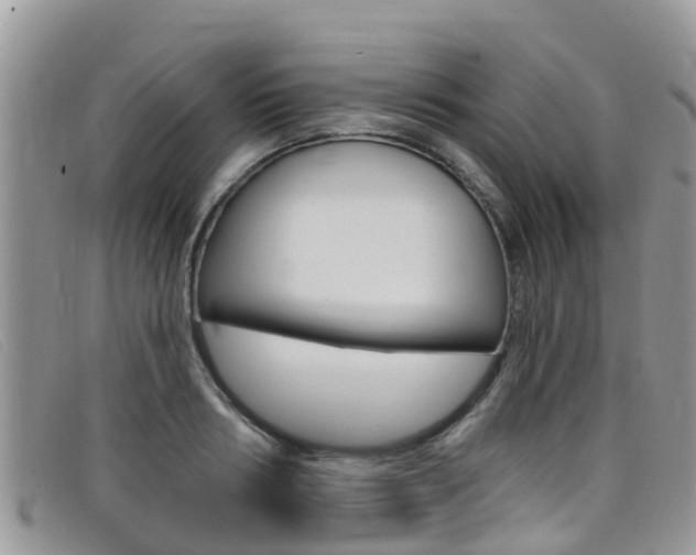 X0000099440986200805090744