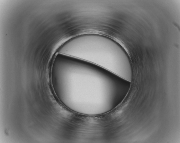 X0000099440987200805090744