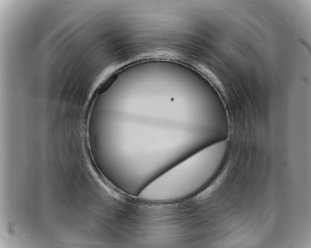X0000099440989200805090744