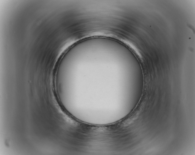 X0000099440991200805090744