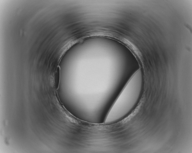 X0000099440993200805090744