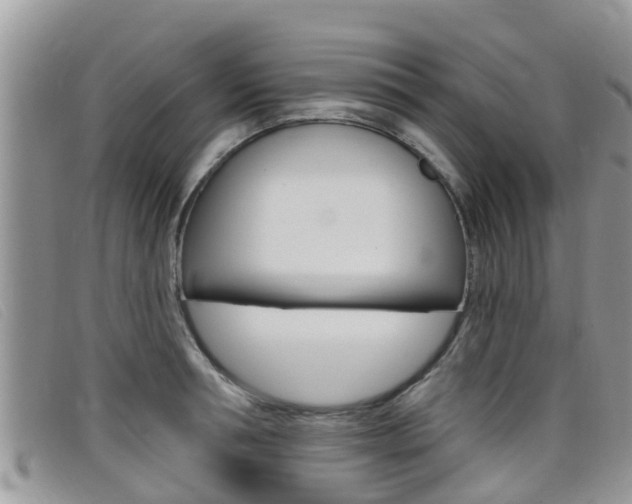 X0000099440994200805090744