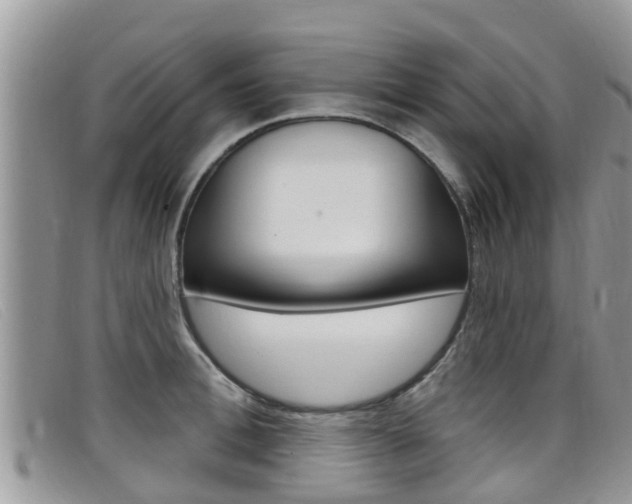 X0000099440996200805090744