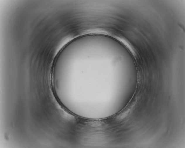 X0000099440999200805090744