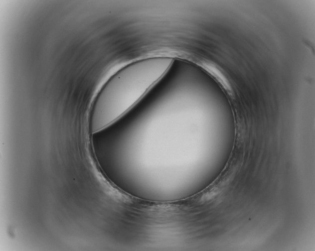X0000099441000200805090744