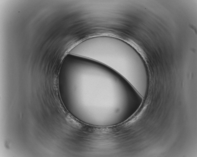 X0000099441001200805090744