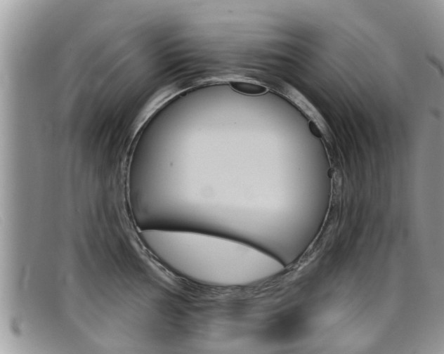 X0000099441002200805090744
