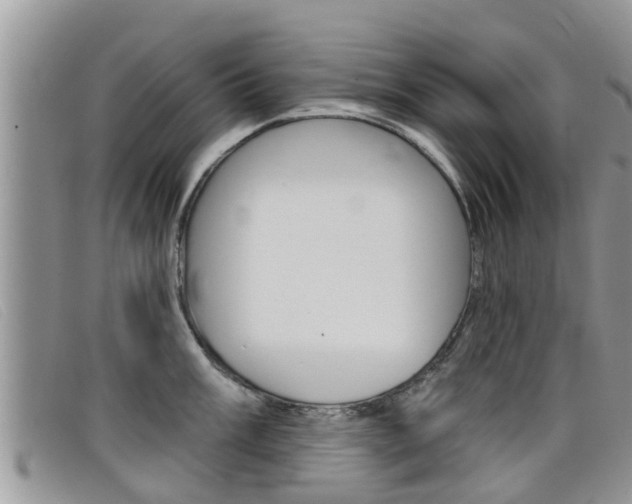 X0000099441003200805090744