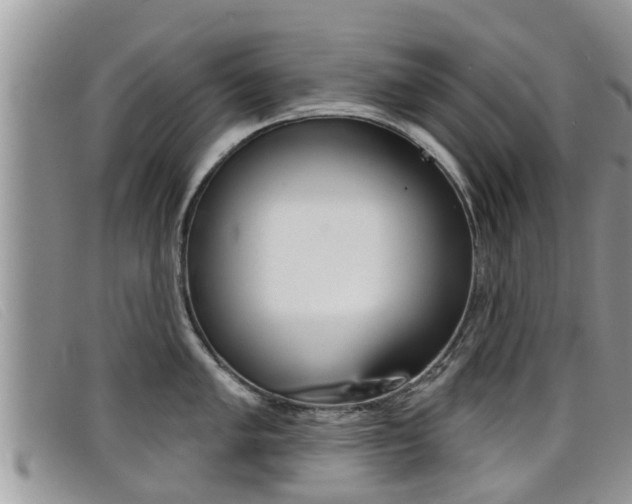 X0000099441005200805090744