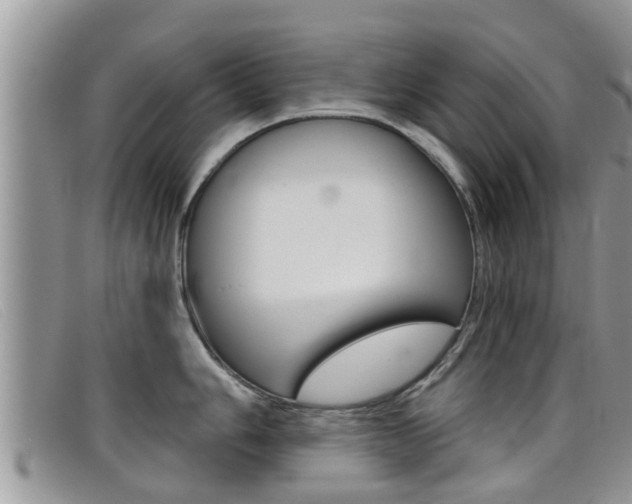 X0000099441006200805090744