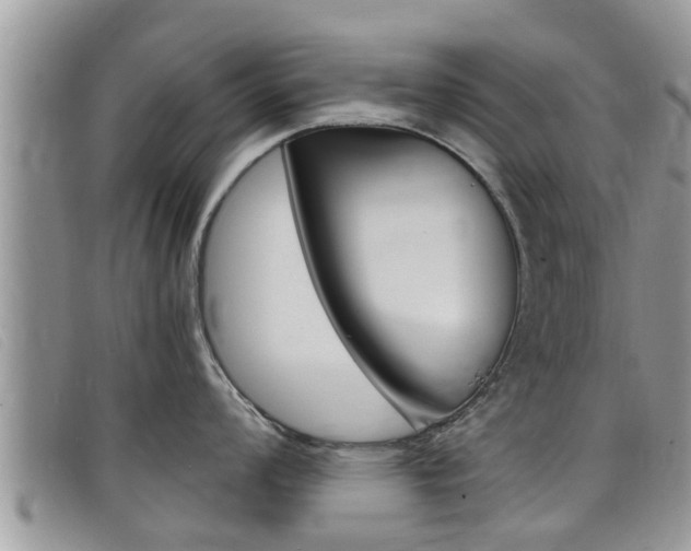 X0000099441008200805090744