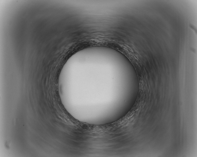 X0000099441009200805090743