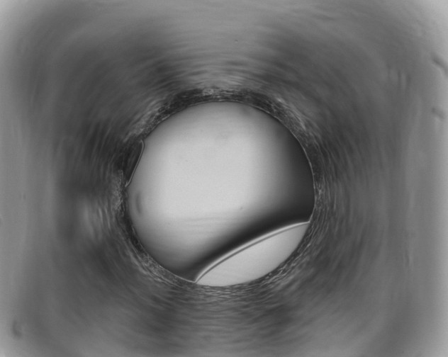 X0000099441012200805090743
