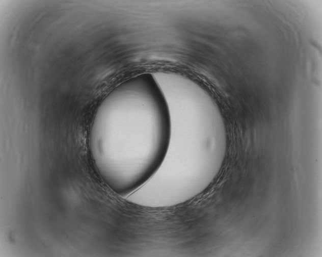 X0000099441013200805090743
