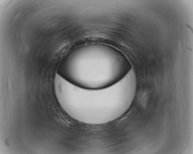 X0000099441014200805090743