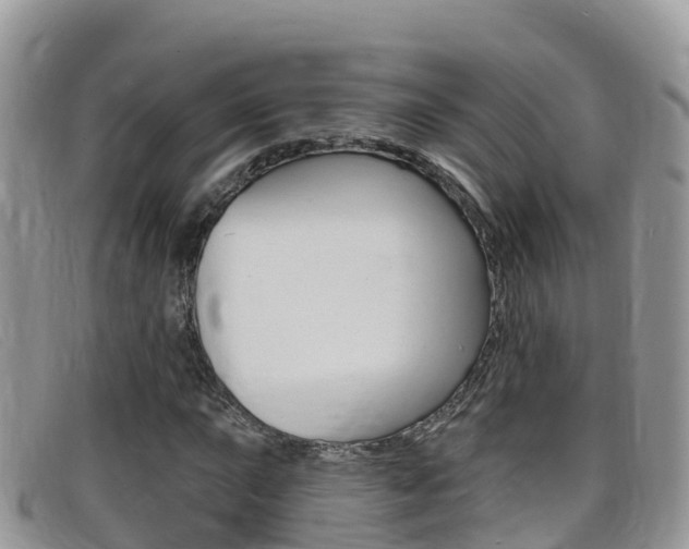 X0000099441015200805090743